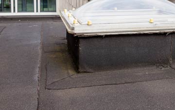 disadvantages of Hogganfield flat roofs