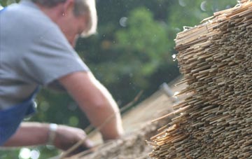 professional Hogganfield thatchers